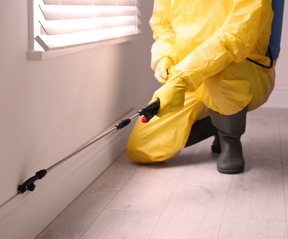 Mahanis Global | Pest Control Service Johor Bahru (JB) | Pest Control Service Melaka | Pest control Bumiputera Johor Bahru (JB) | Pest Control Bumiputera Melaka